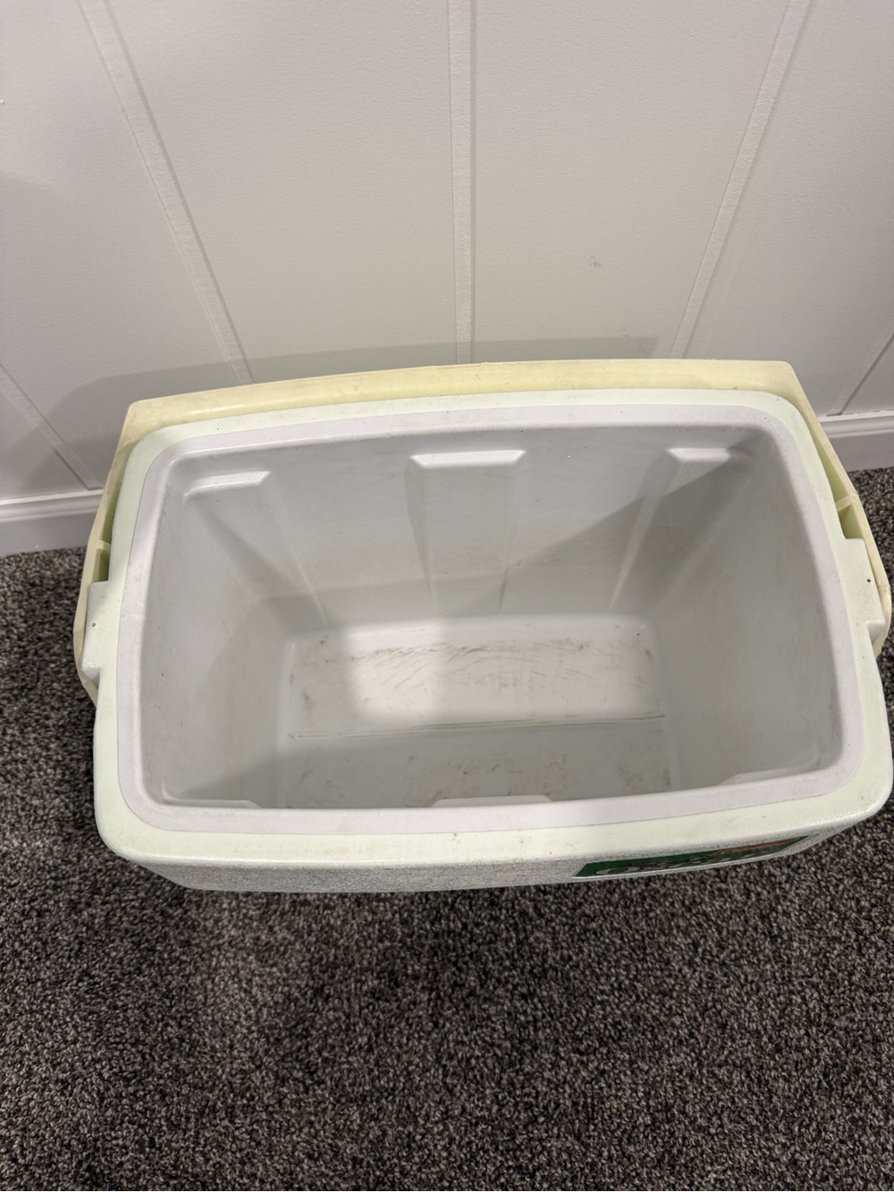 Oscar by Coleman 16Qt. Cooler with Handle Green Flip Lid for Cup Holder - Picture 3 of 5